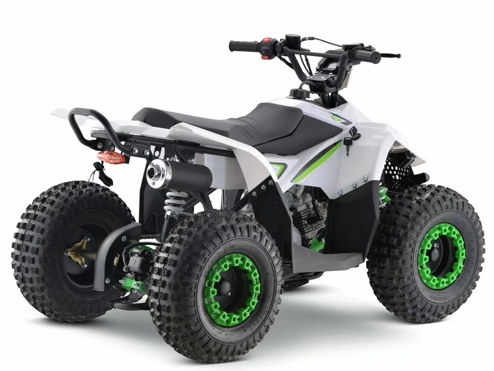 110cc Gas Powered Kids ATV 4 W - огляд і ціна Kids Toys Quad