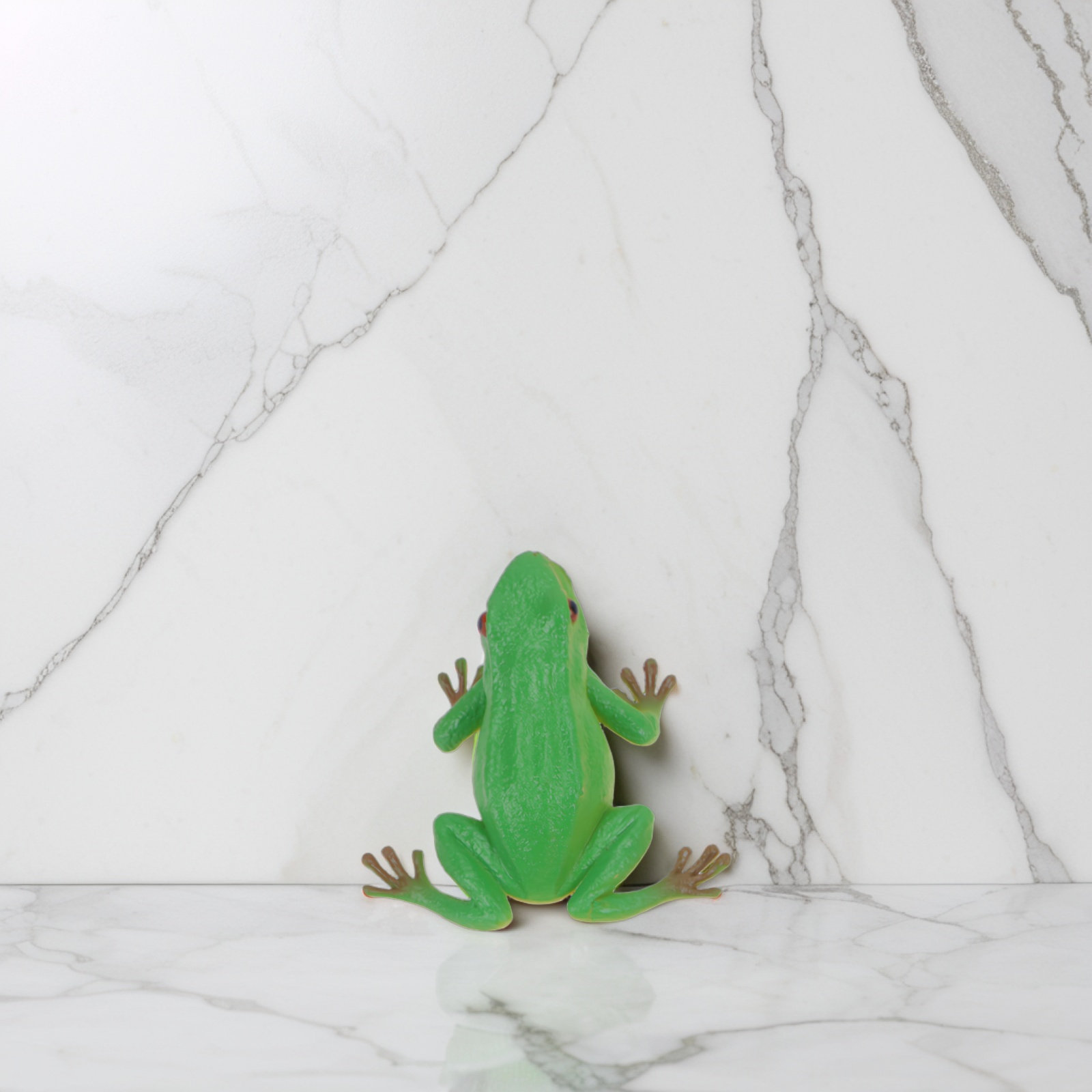4Pcs Sounding Frog Prank Plast - огляд і ціна Kids Toys Vehicle