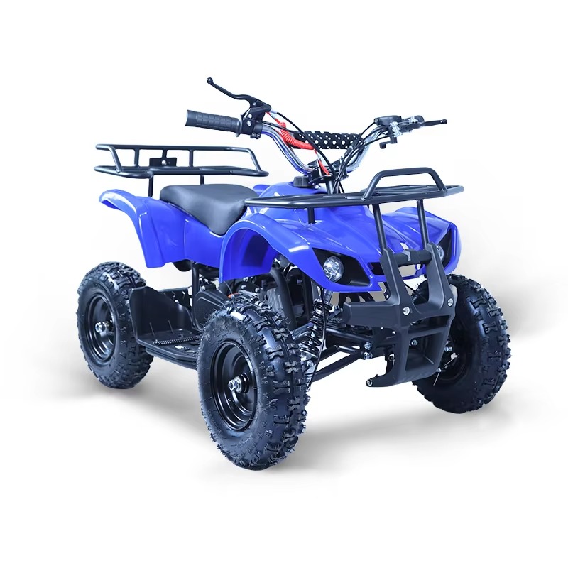 49cc Mini ATV Kids Quad Bike 2 - огляд і ціна Kids Toys Quad
