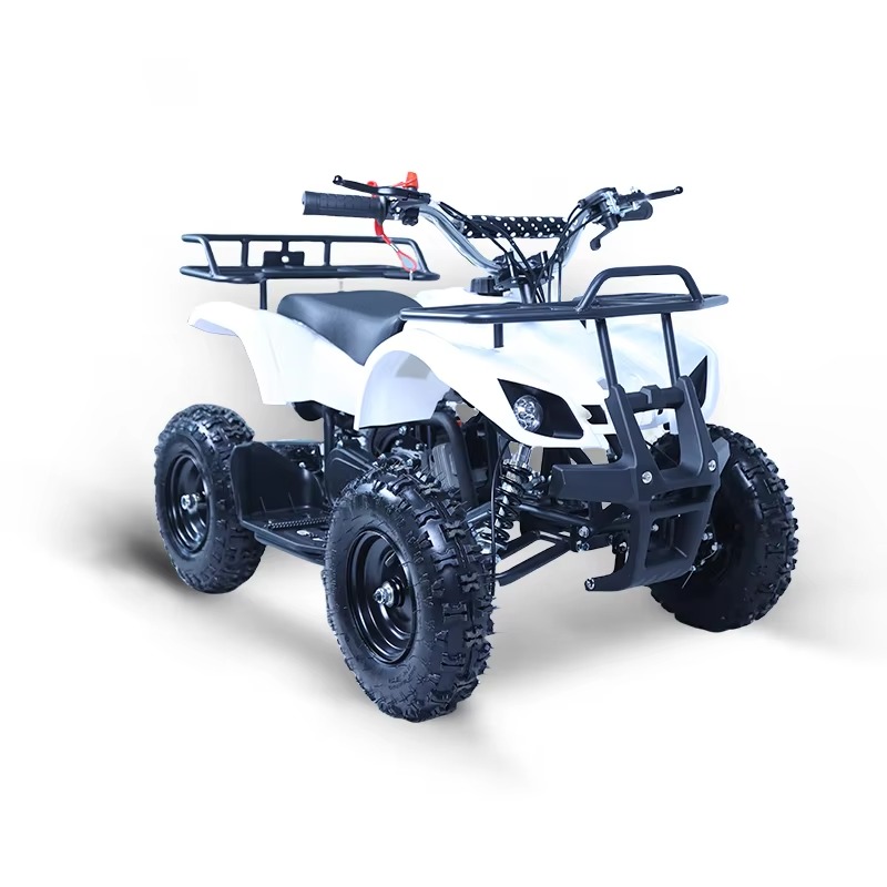 49cc Mini ATV Kids Quad Bike 2 - огляд і ціна Kids Toys Quad