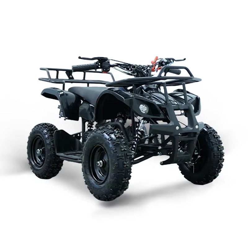 49cc Mini ATV Kids Quad Bike 2 - огляд і ціна Kids Toys Quad